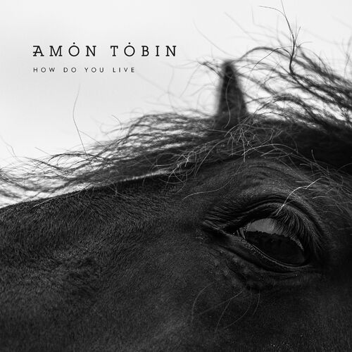 Amon Tobin - How Do You Live [ELECTRO] [Hi Res 24  bits] [2021]