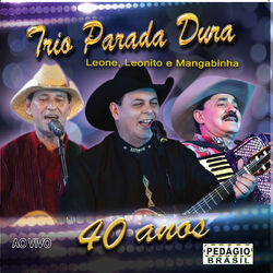 Trio Parada Dura 40 Anos (Ao Vivo) 2012 CD Completo