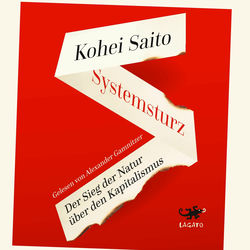 Systemsturz (Der Sieg der Natur über den Kapitalismus | Der internationale Bestseller aus Japan)