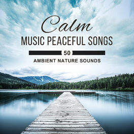 Various Artists Calm Music Peaceful Songs 50 Ambient Nature Sounds Healing Yoga Relax Meditation Music Stress Reduction Inner Peace Lyrics And Songs Deezer