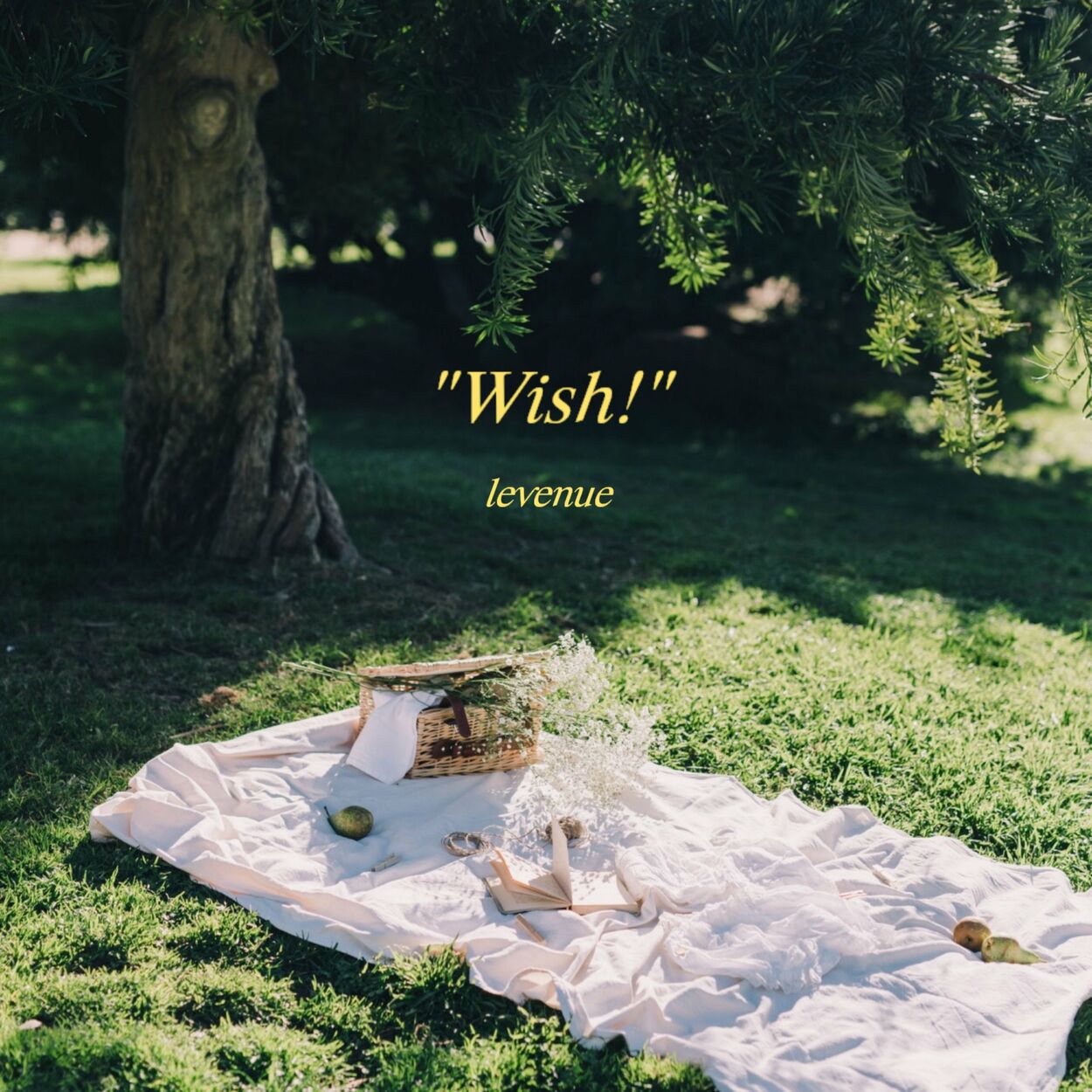 LEVENUE – Wish! – Single