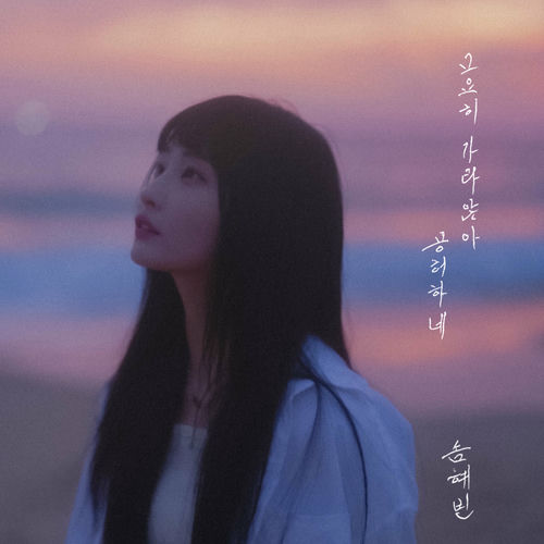 som hevin – Standing on my void – Single