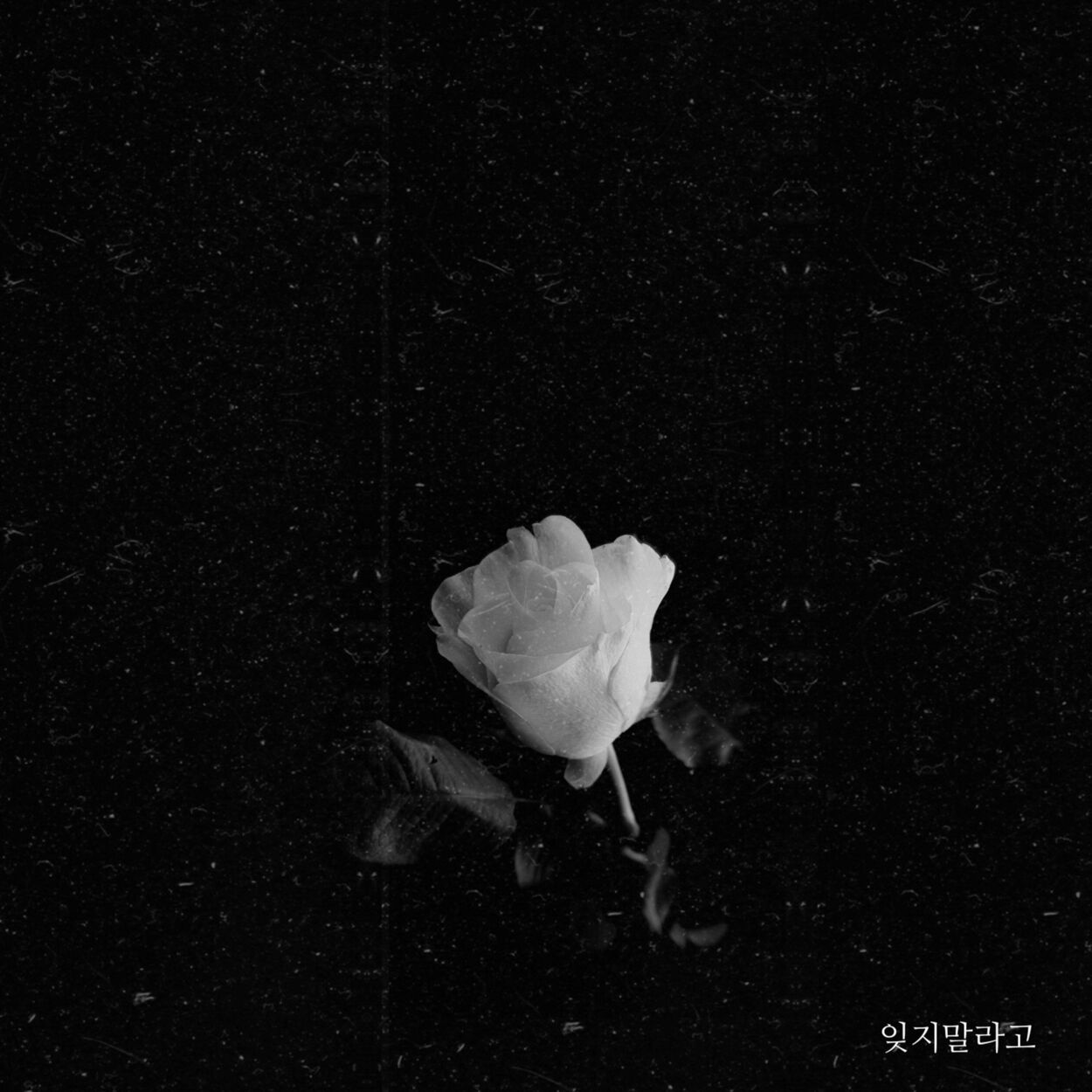 yoobin Jeon – Don’t forget – Single