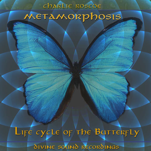 Charlie Roscoe - Life Cycle of the Butterfly (2017) обложка альбома