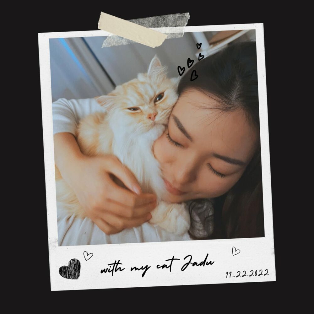 Suzanne – My Cat Jadu – Single