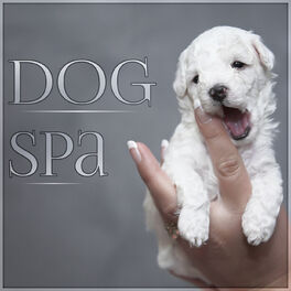 spa music for dogs