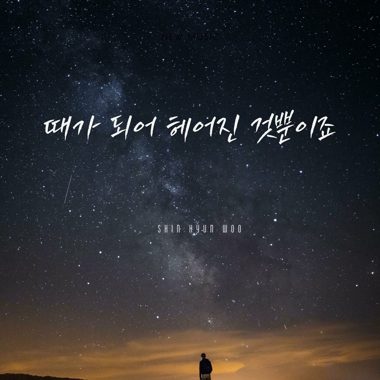 Shin Hyun Woo – We broke up just because we’re destined to – Single