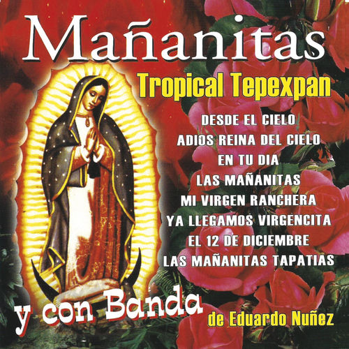 Tropical Tepexpan Adios Reina Del Cielo Listen With Lyrics Deezer deezer
