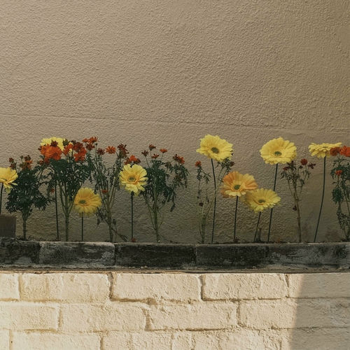 Seung Hee – When You Call My Name – Single