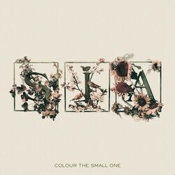 Pochette de l'album Colour The Small One