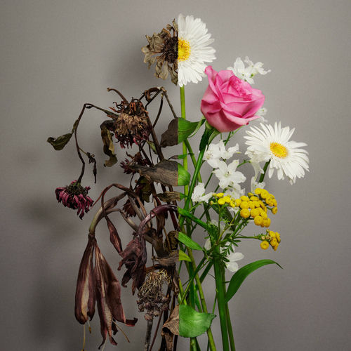 YESUNG – Unfading Sense – The 5th Mini Album – EP