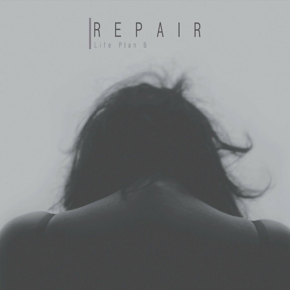 Life Plan B – Repair