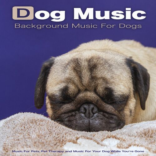 therapy music for dogs