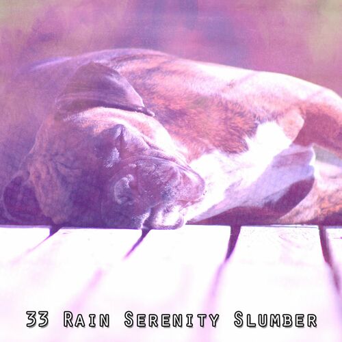 33 Rain Serenity Slumber by The Rain Library - Reviews & Ratings on ...