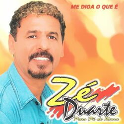 Download CD ZE DUARTE – Me Diga o Que É 2017