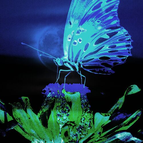 Moon Sujin – Don’t Say – Single