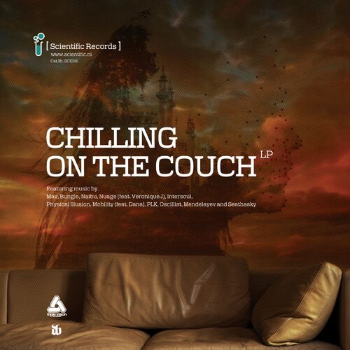 Chilling on the Couch LP - Bungle