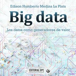 Big data (Los datos como generadores de valor)