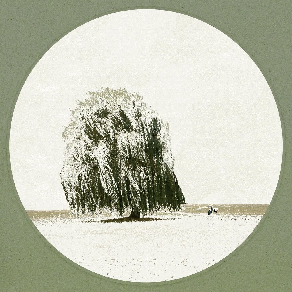 Darin – Willow Tree – Single