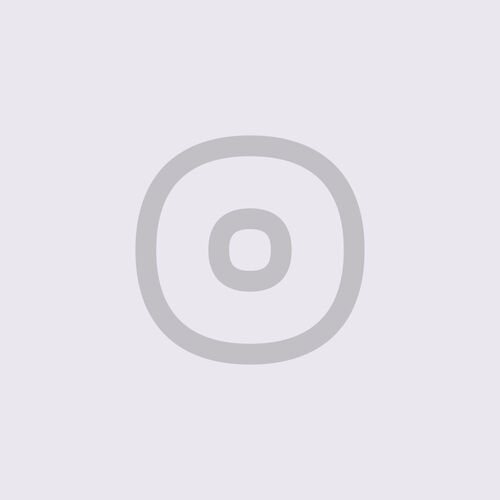 The Stray – Stay In That Season – Single