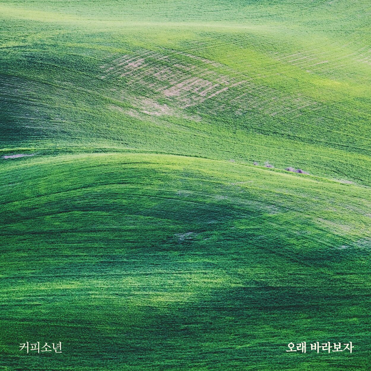 Coffeeboy – There Is No Hurry (feat. Hyesun) – Single