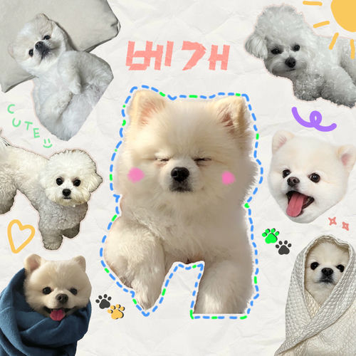 Chawoo – Hug Me – Single