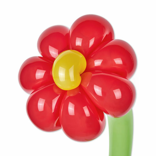 MEENOI – This is my life