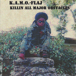 Kamo Flaj
