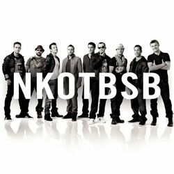 Download NKOTBSB, New Kids on the Block, Backstreet Boys - NKOTBSB 2011