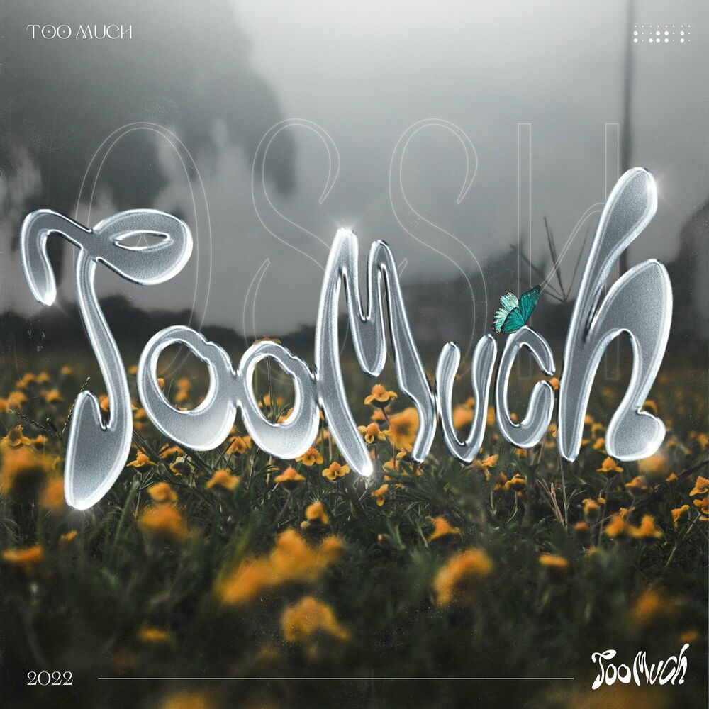 Ossh – Too Much – Single