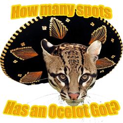 How Many Spots Has an Ocelot Got?
