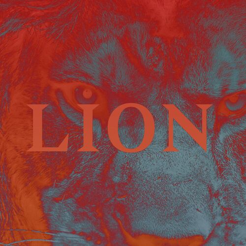 Lion - PNL