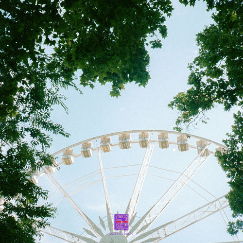 Roo – Love Interference 2024 (Original Soundtrack), Pt.19