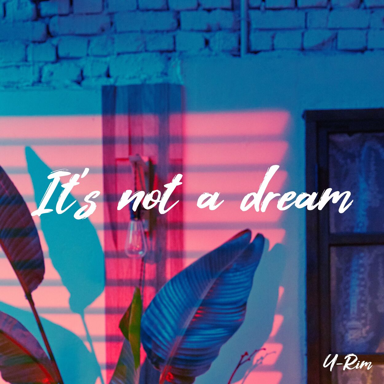 U-Rim – It’s not a dream – Single
