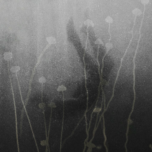 Ryan – Rain Flower – Single