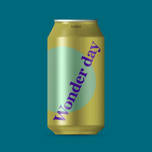 heyden – Wonder day – Single