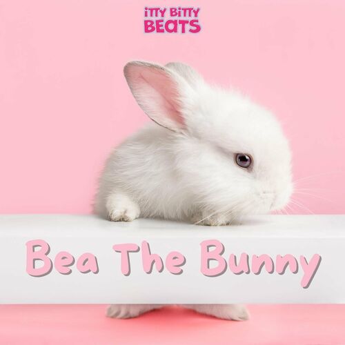Bea the Bunny
