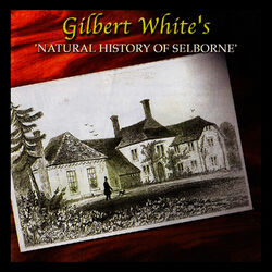 The Natural History Of Selborne