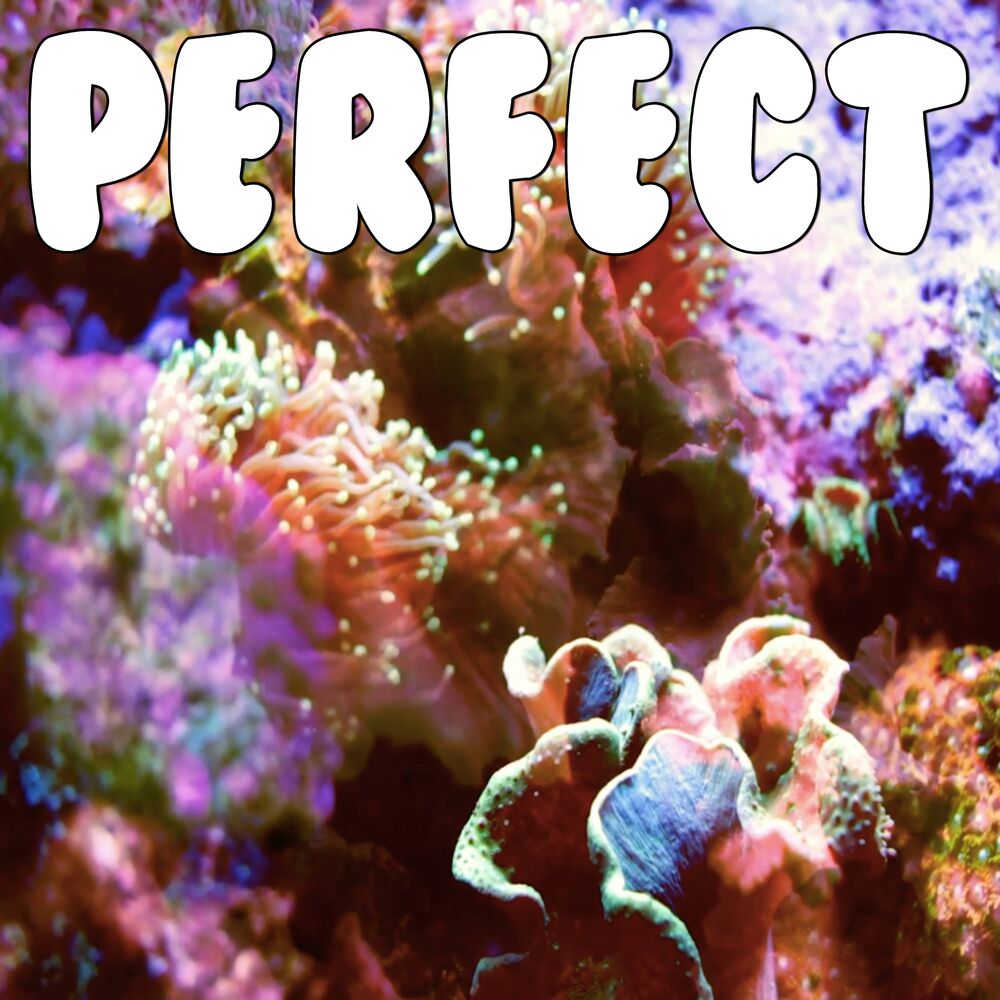You Look Perfect Tonight