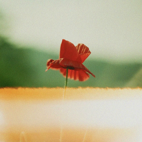 Echae Kang – On Your Side – Single