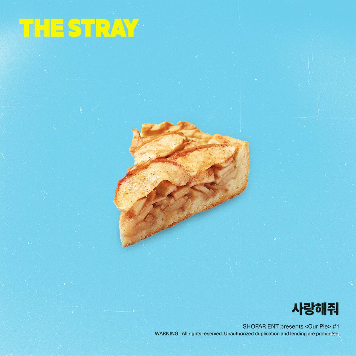 The Stray – Please love me (Our Pie X The Stray) – Single