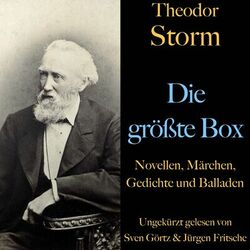 Theodor Storm: Die größte Box (Novellen, Märchen, Gedichte und Balladen)