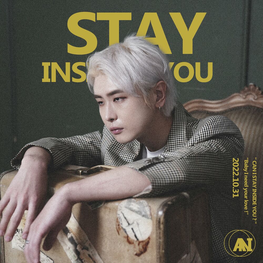 NIA – Stay inside you – Single