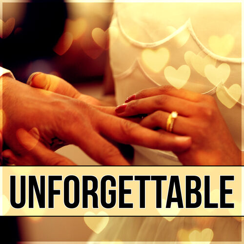 Instrumental Music Zone Unforgettable Wedding Reception