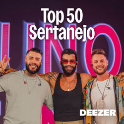 Download CD Top 50 Sertanejo 2024
