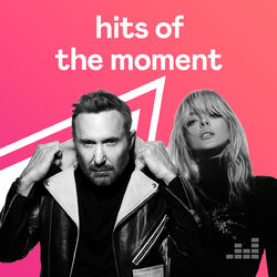 Hits Of The Moment
