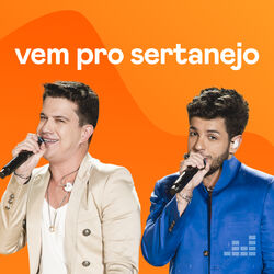 Download CD Vem pro Sertanejo 2023