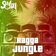 ~ Ragga Jungle I SOLAR ~