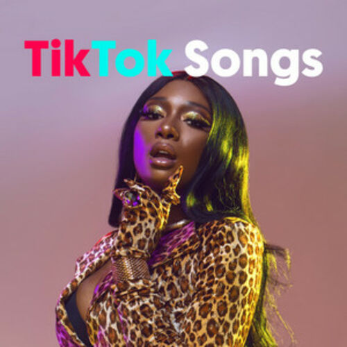 Download TikTok Songs 2020 | Viral Hits playlist - Listen now on ...